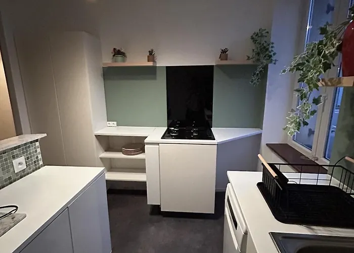 Grand Et Chaleureux Proche Kinepolis Apartmán *